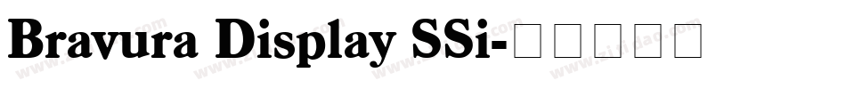 Bravura Display SSi字体转换